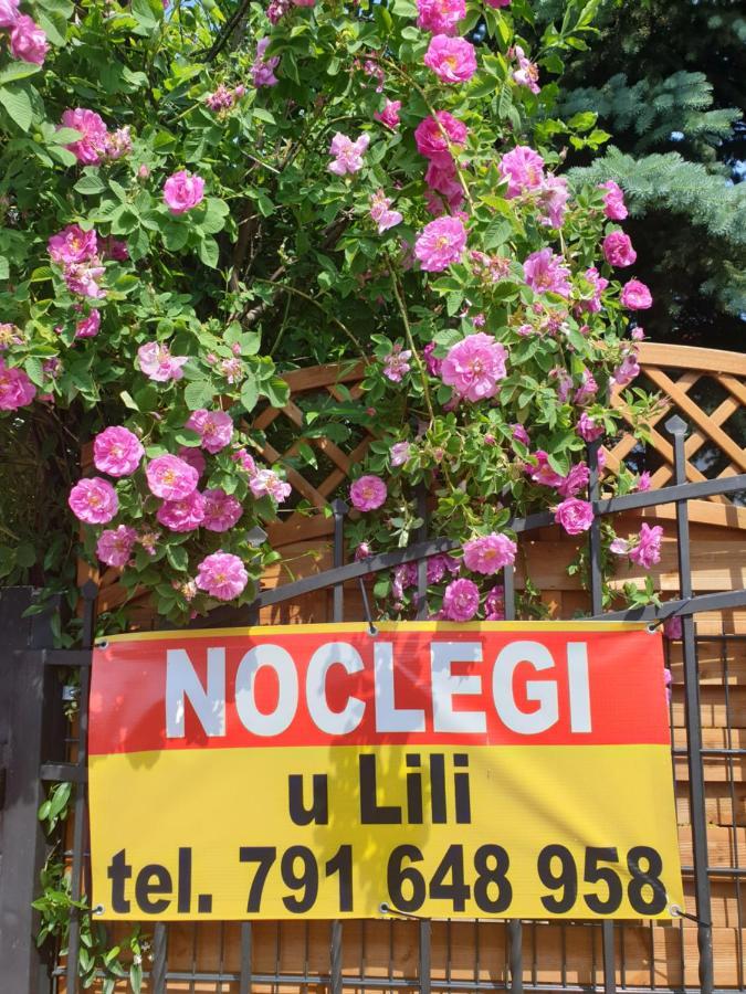 Noclegi U Lili Człuchów Екстериор снимка